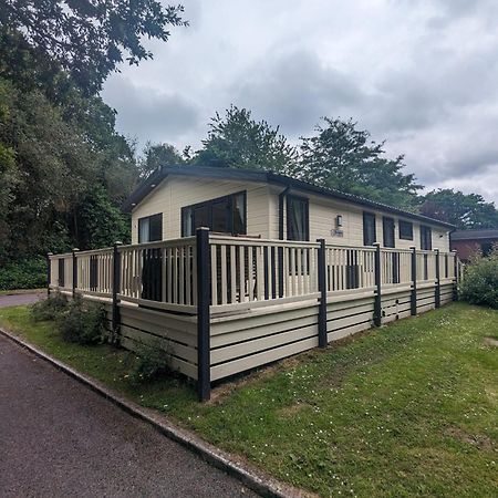 Luxury Stunning Sensation Lodge On 5 Star Shorefield Country Park New Forest Entertainment And Leisure Passes Included Milford on Sea Ngoại thất bức ảnh